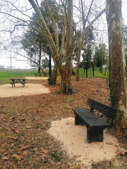 Parque de Merendas da Mata do Loreto requalificado